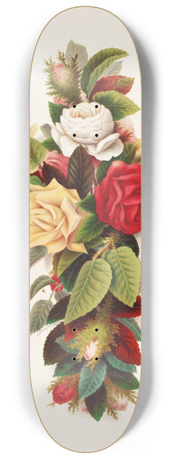 Olive E Whitney - Cross of Roses 8.25 inch art skate deck