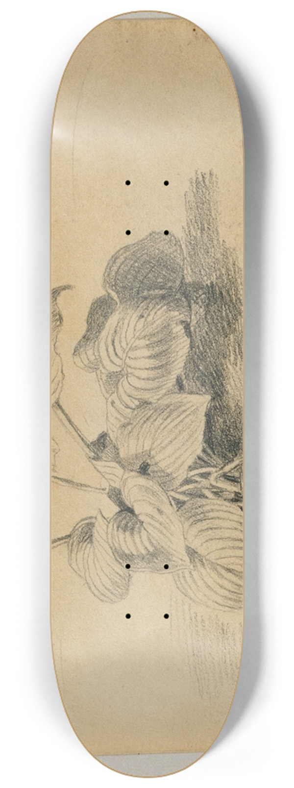 Johann Peter Krafft - Studie einer Blattpflanze 8.25 inch art skate deck