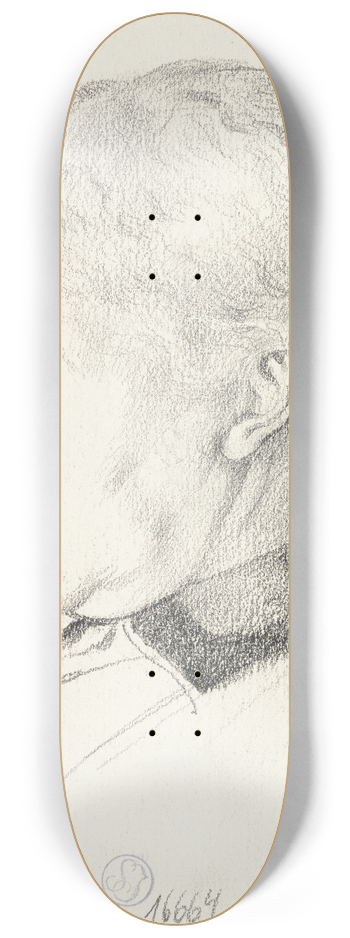 Otto Scholderer - Luise Scholderer 8.25 inch art skate deck