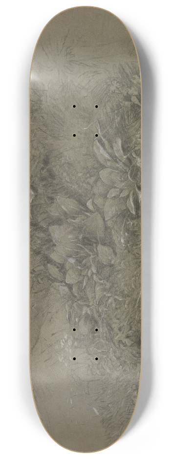 Otto Scholderer - Pflanzenstudie in Wiesenlandschaft 8.25 inch art skate deck
