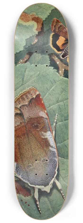 Paul-Andre Robert - Le Casque 8.25 inch art skate deck