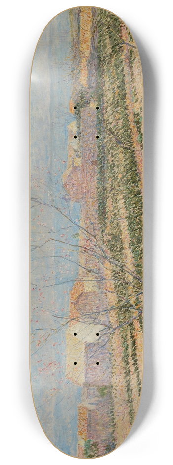 Paul Baum - Capri 8.25 inch art skate deck
