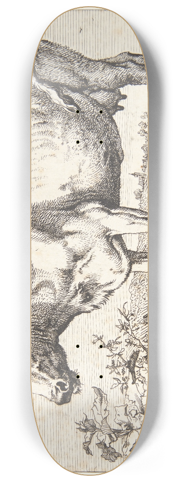 Paulus Potter - Ko med krllede horn 8.25 inch art skate deck