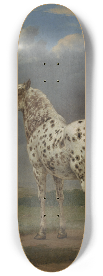Paulus Potter - The Piebald Horse 8.25 inch art skate deck