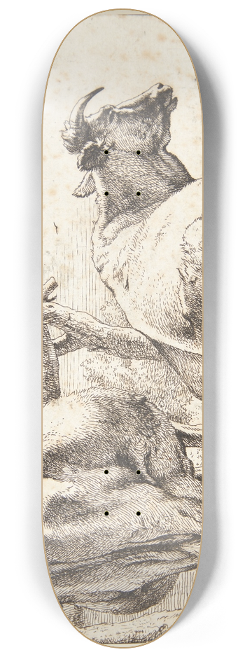 Paulus Potter - To ker, set bagfra 8.25 inch art skate deck