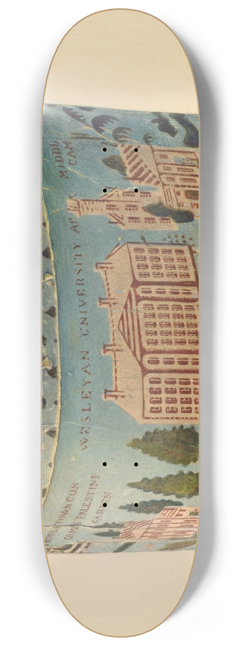 Paul Ward - Bandbox 8.25 inch art skate deck