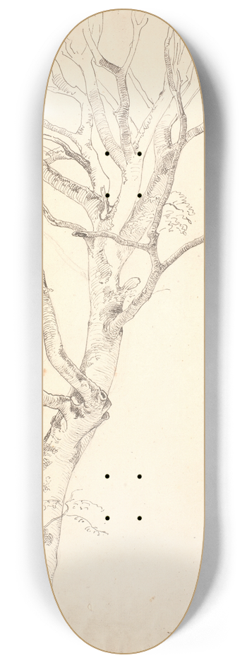 P. C. Skovgaard - Afbladet bgetr 8.25 inch art skate deck