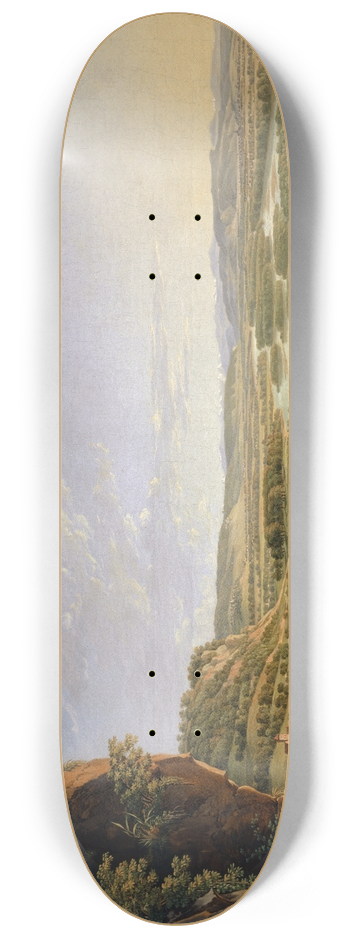 Peter Birmann - View from the Isteinerklotz up the Rhine toward Basel 8.25 inch art skate deck