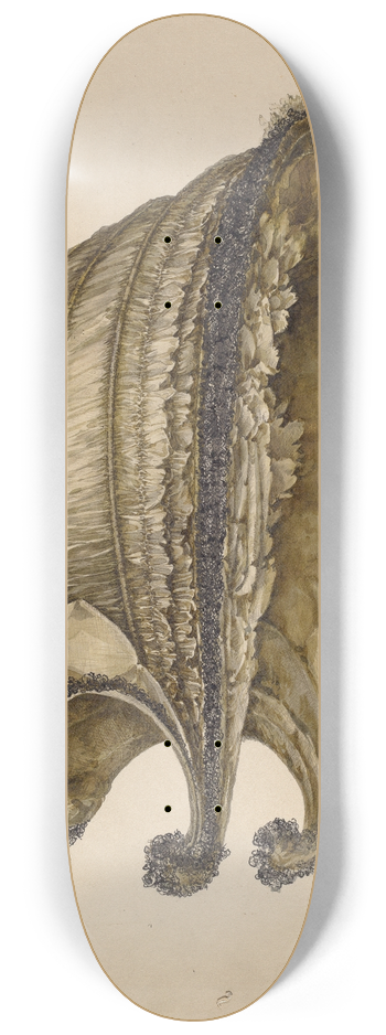 Peter Connin - Silk Bonnet 8.25 inch art skate deck