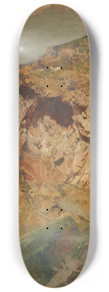 Petrus van der Velden - Rock study, Sumner 8.25 inch art skate deck