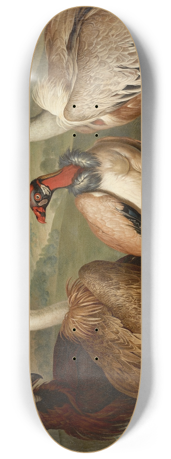 Philipp Ferdinand de Hamilton - Vier Geier Verschiedener Art 8.25 inch art skate deck