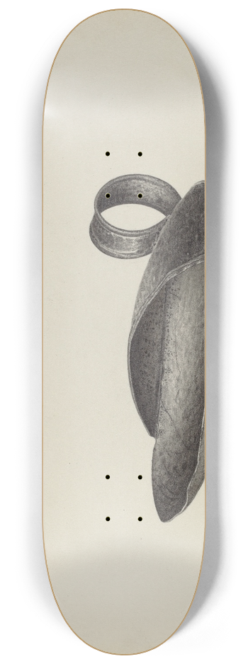 Amelia Tuccio - Creamer Skimmer 8.25 inch art skate deck