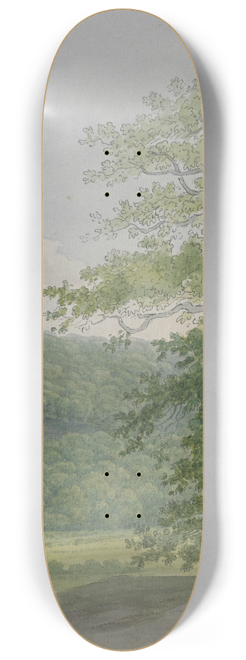 John Abbott - Wooded landscape 8.25 inch art skate deck