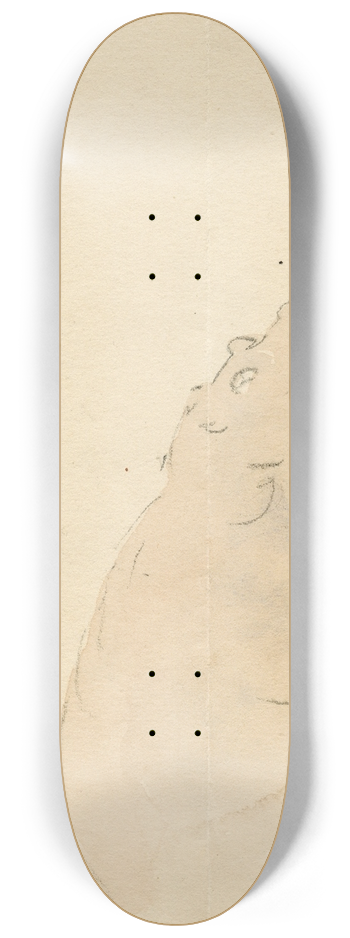 Pieter van Loon - Het nijlpaard in de Engelse dierentuin 8.25 inch art skate deck