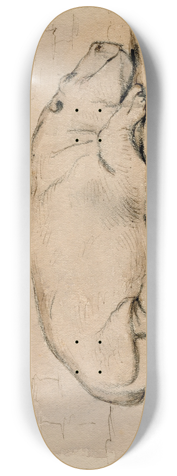 Pieter van Loon - Het nijlpaard in de Engelse dierentuin 8.25 inch art skate deck