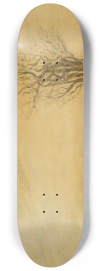 Prilidiano Pueyrredn - La lavandera 8.25 inch art skate deck