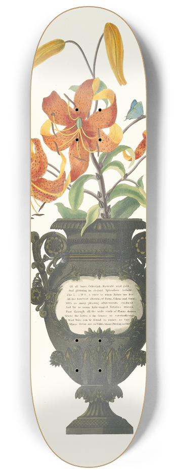 Priscilla Susan Bury - Lilium Tigrinum 8.25 inch art skate deck