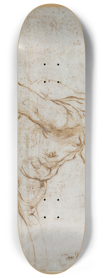 Raphael - Study of a Nude Male Figure 8.25 inch art skate deck