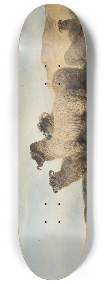 Richard Ansdell - Lytham Sandhills 8.25 inch art skate deck