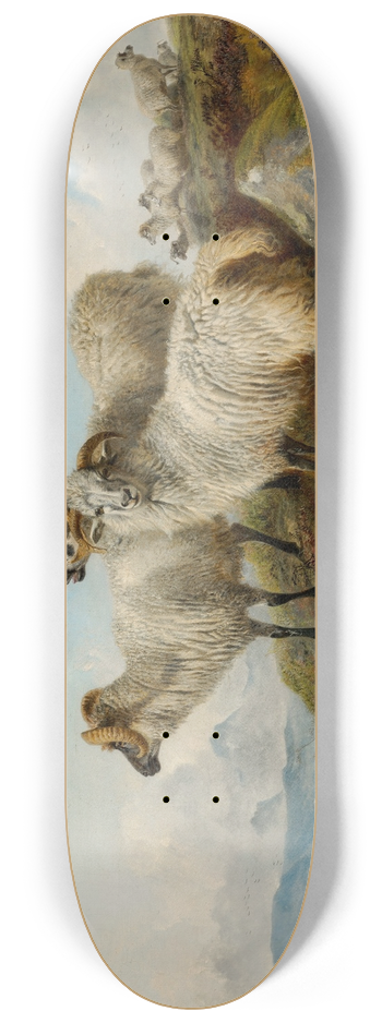 Richard Ansdell - Mountainous landscape with sheep 8.25 inch art skate deck