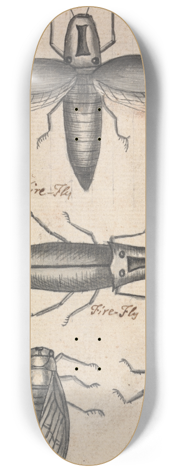 Richard Brookes - Fireflies 8.25 inch art skate deck