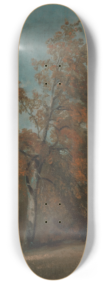 John Constable - Study of an Ash Tree 8.25 inch art skate deck