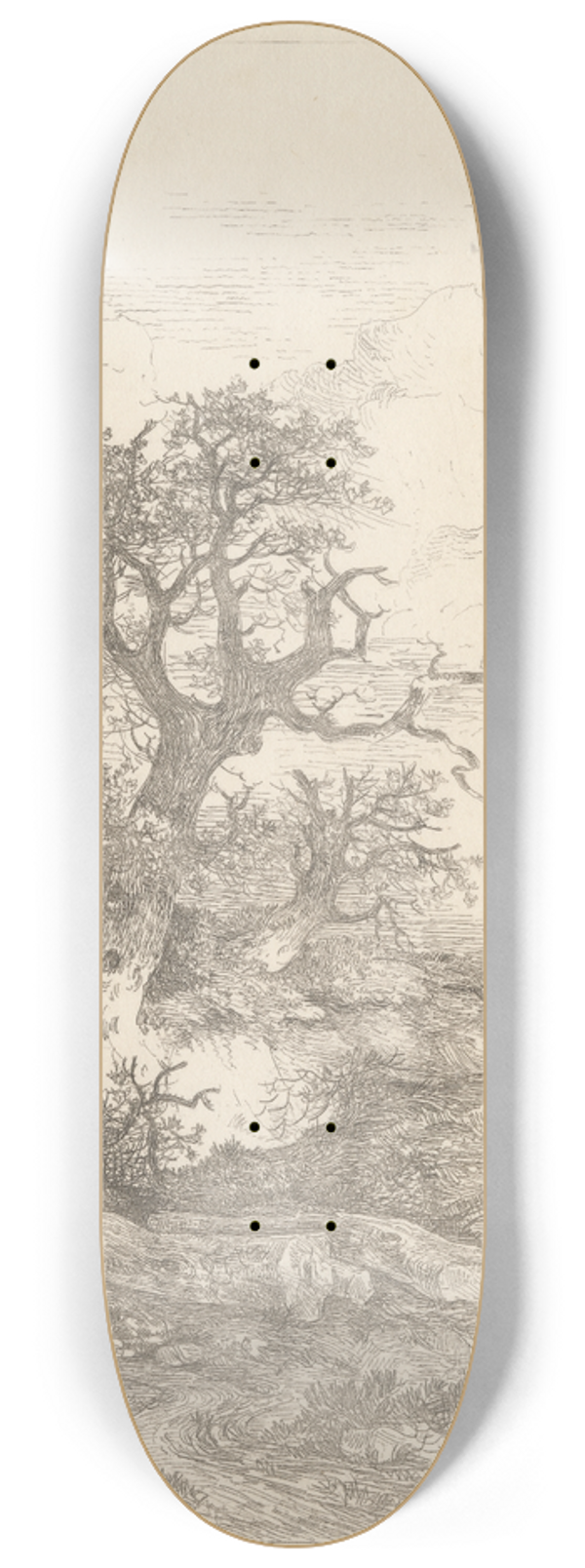 John Crome - Landscape with Oak Trees 8.25 inch art skate deck