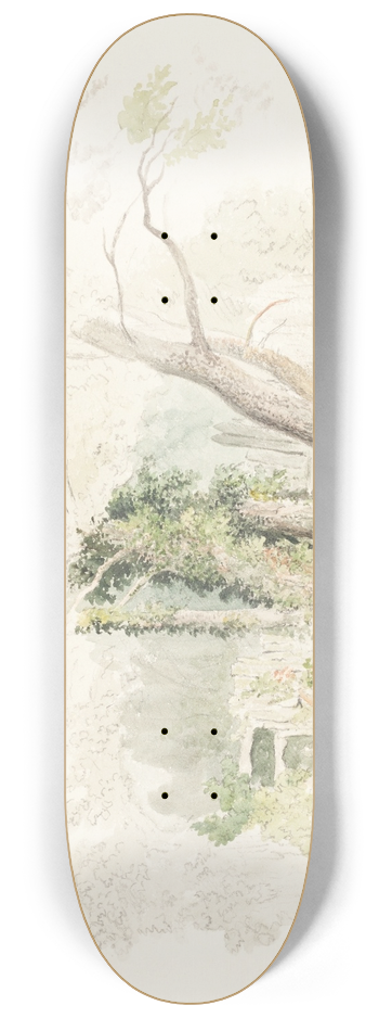 Robert Hills - Trees at Beddington 8.25 inch art skate deck