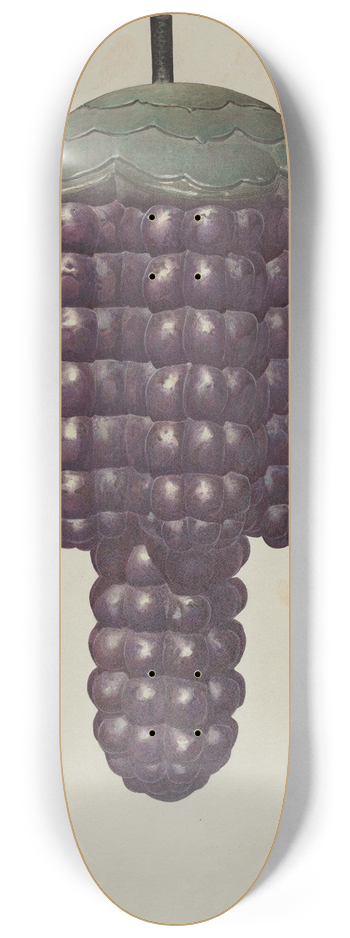 Robert Pohle - Shop Sign  Grapes 8.25 inch art skate deck