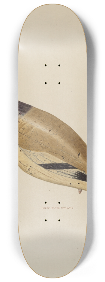 Rocco Navigato - Decoy 8.25 inch art skate deck