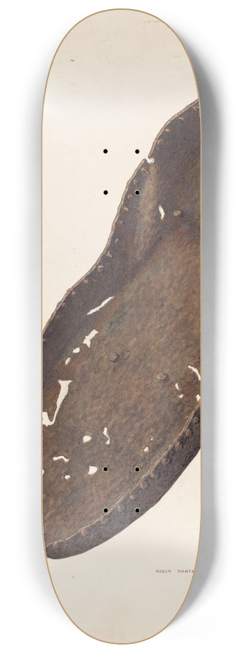 Rocco Navigato - Iron Sole 8.25 inch art skate deck