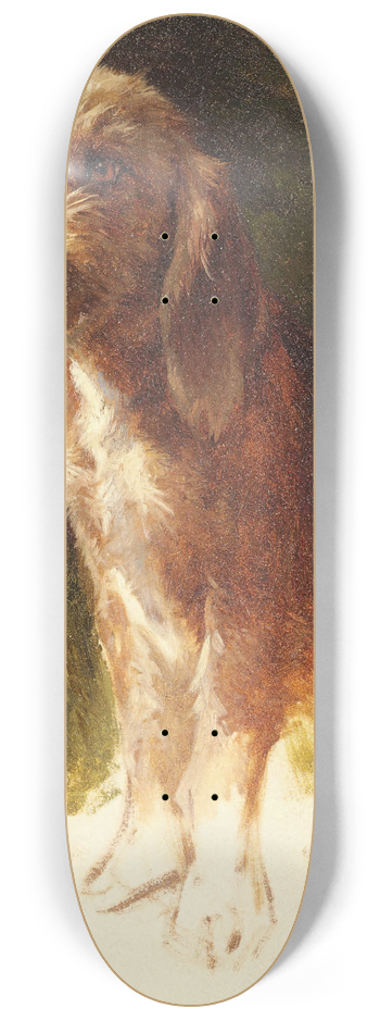 Rosa Bonheur - Study of a Dog 8.25 inch art skate deck