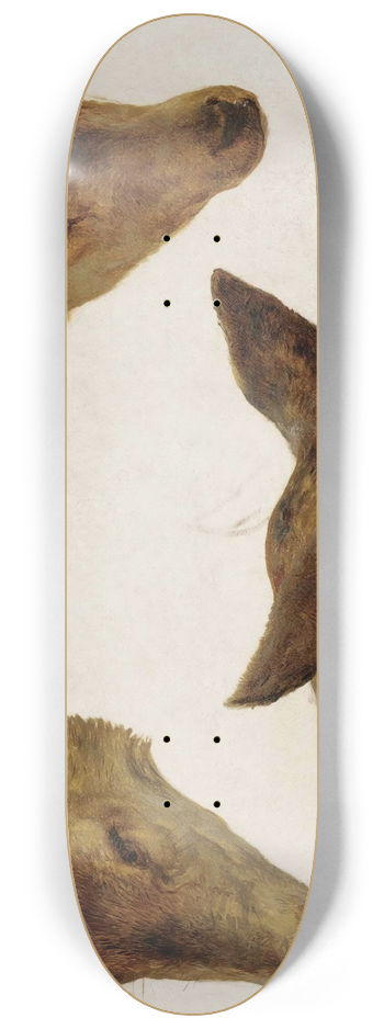 Rosa Bonheur - Study Of Deer Heads 8.25 inch art skate deck