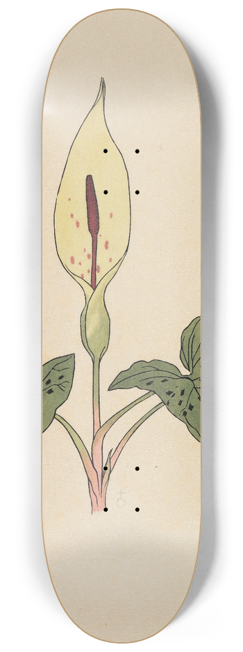 Rudolf Koch - Blumenbuch 8.25 inch art skate deck