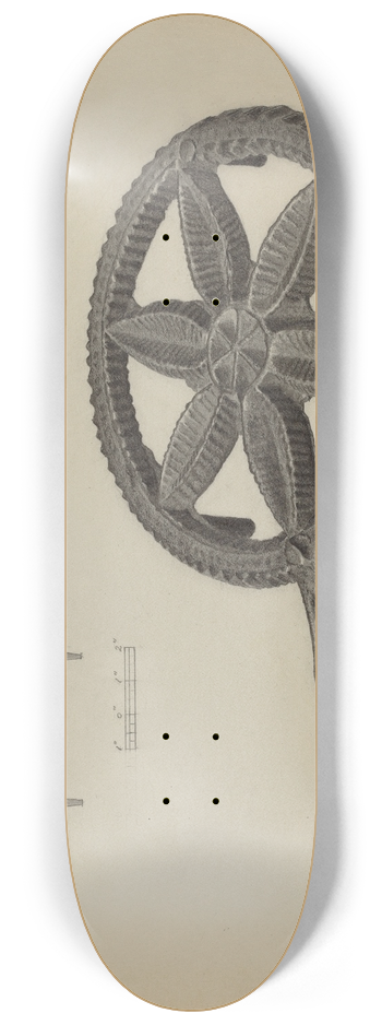 Salvatore Borrazzo - Pa. German Flatiron Holder 8.25 inch art skate deck