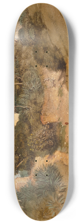 Samuel Colman - Path by Mosque 8.25 inch art skate deck