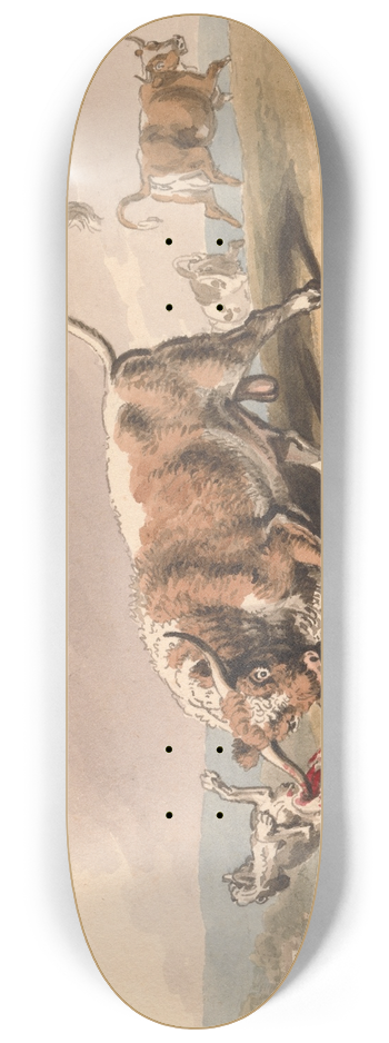 Samuel Howitt - A Bull Attacking a Dog 8.25 inch art skate deck