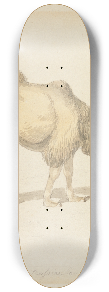 Samuel Howitt - Russian Camel 8.25 inch art skate deck