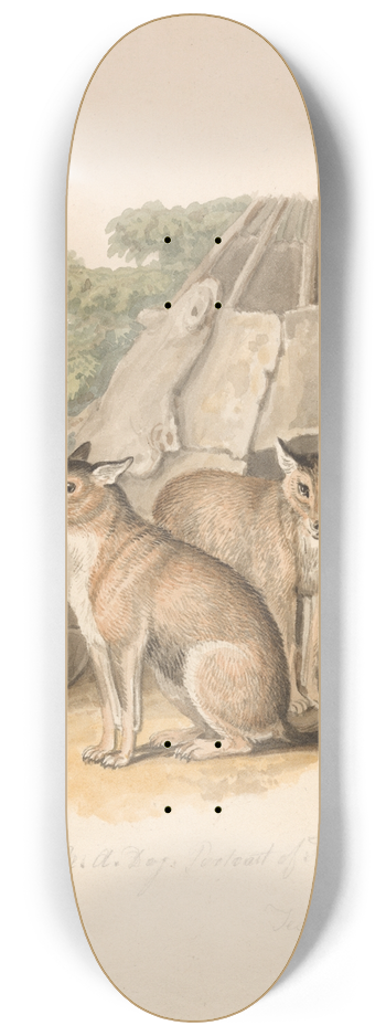 Samuel Howitt - Two Huskies 8.25 inch art skate deck
