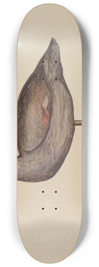 Samuel W. Ford - Gadwall Decoy 8.25 inch art skate deck