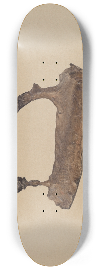 Sarkis Erganian - Flatiron 8.25 inch art skate deck