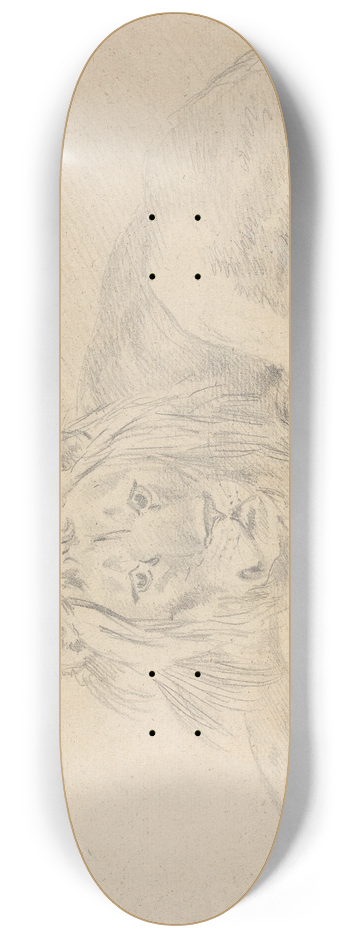 Sawrey Gilpin - Lion Lying Down 8.25 inch art skate deck