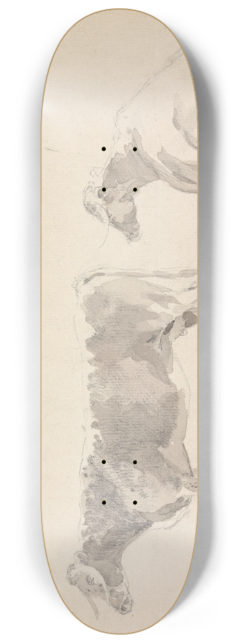 Sawrey Gilpin - Studies of Cattle 8.25 inch art skate deck