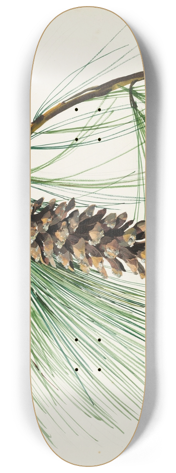 Sergey Chekhonin - A pine cone spray 8.25 inch art skate deck