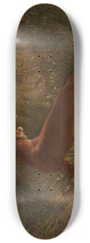 Siegwald Dahl - A Fox 8.25 inch art skate deck