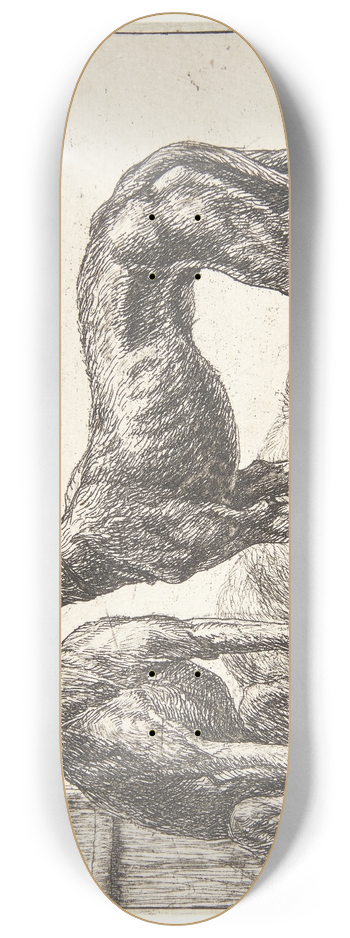 Simon de Vlieger - To mynder og en sovende hund 8.25 inch art skate deck