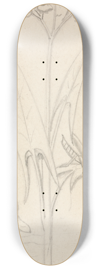Sir John Everett Millais - Stained Glass Study, Water Plant with Grasshoper, Fish and Newt 8.25 inch art skate deck
