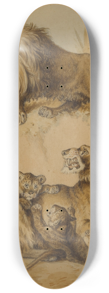 Sydenham Edwards - A Lion, Lioness and two cubs 8.25 inch art skate deck