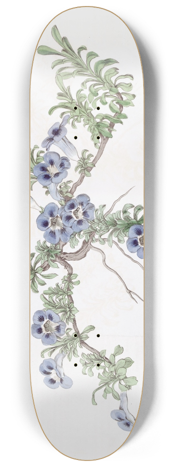 Sydenham Edwards - Depressed Aptosimum 8.25 inch art skate deck