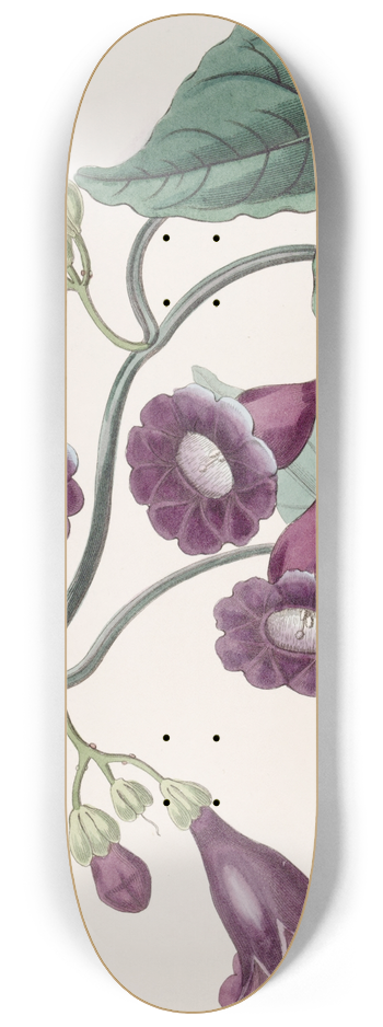 Sydenham Edwards - Royal Purple Gaybine 8.25 inch art skate deck